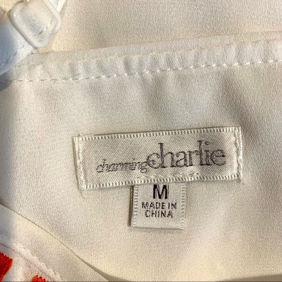 Charming Charlie embroidered tank top, size medium - Picture 4 of 4